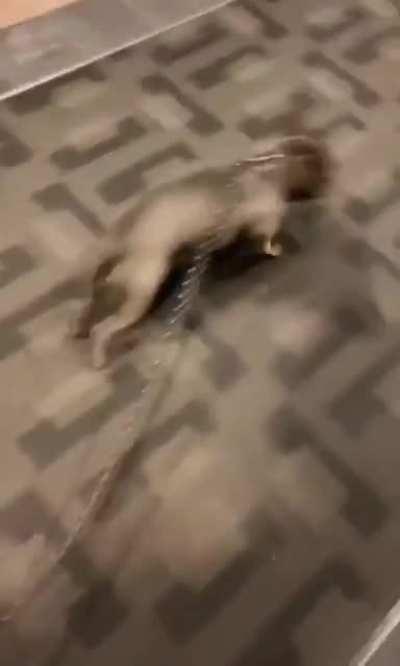 تخفيف الحظر، نراهن على وعي الشعب.