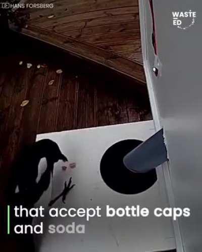Bird feeder accepts bottle caps for food