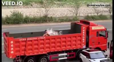 Maybe don't kill the others on the highway?