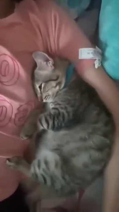 You are my sunshine, my only sunshine