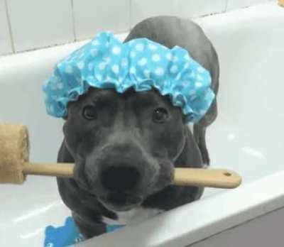 ready to take a shower