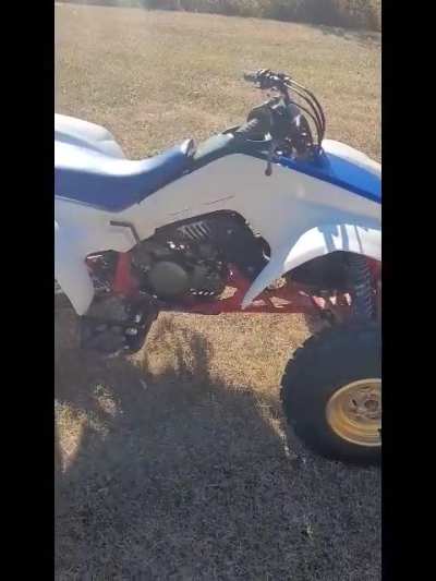 Scored me a barn find.