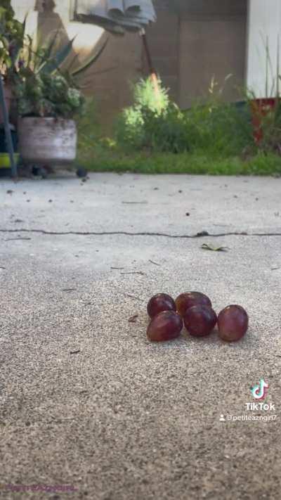 Should I step on you?