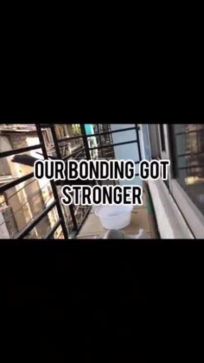 I bet you five dollars Aaron would do payback like this and if not, worse.