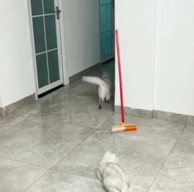 Cartoon level shenanigans