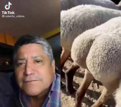 Gallego promedio 🤑