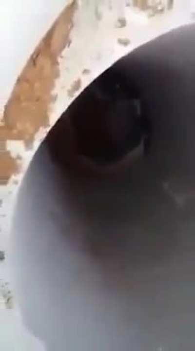 O veio era pro player de esconde esconde