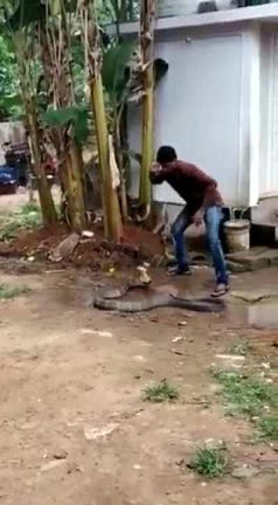 Most normal day in India!