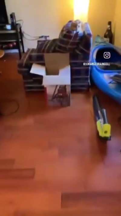 Orange likeness is not approved