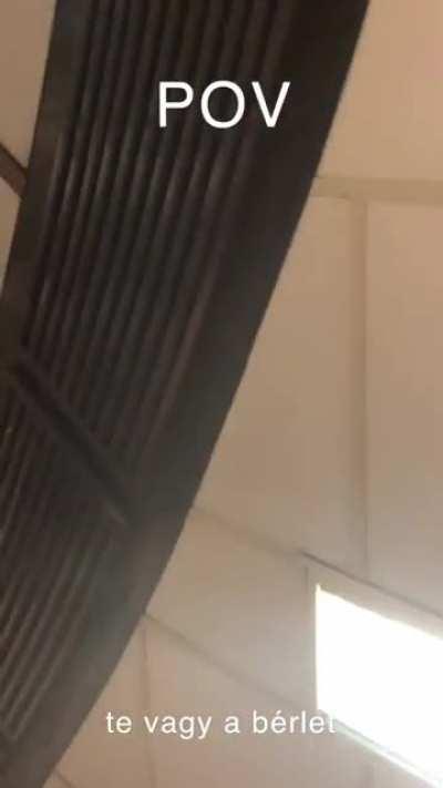 bíp bíp egy diákigazolványt láthatnék?