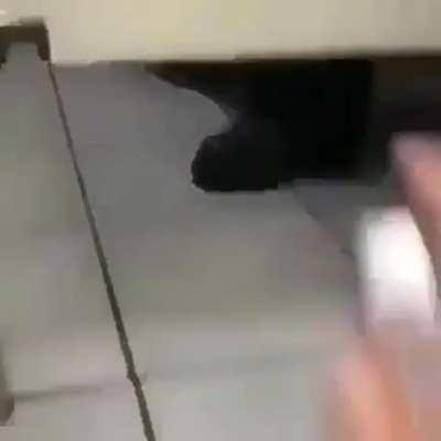 забавный прикол