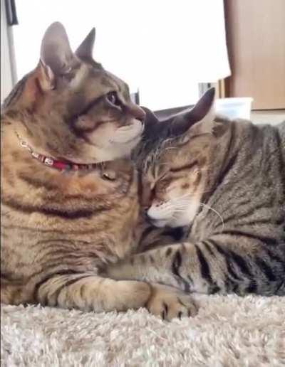 The most perfect evening