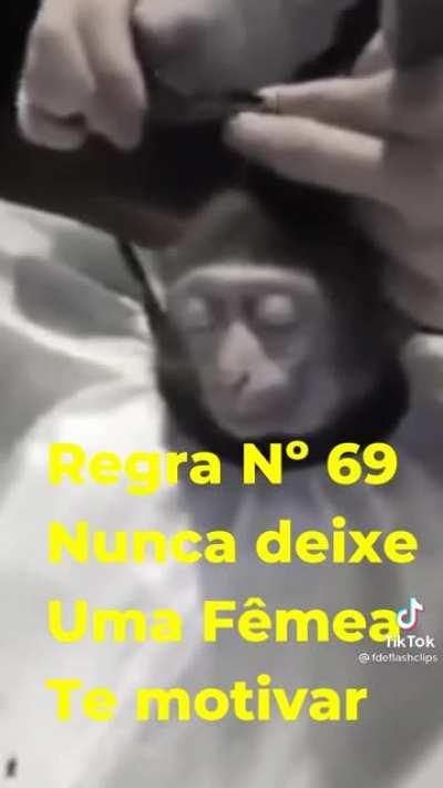 Antes era conhecido como MUCALOL hoje em dia Conhecido como SmurfdoSigma.