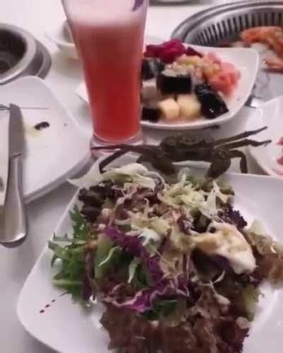 Out of the frying pan and into the fire...