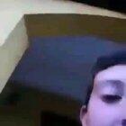 Cabros chicos aweonaos el perro se lo esta cojiendo XD