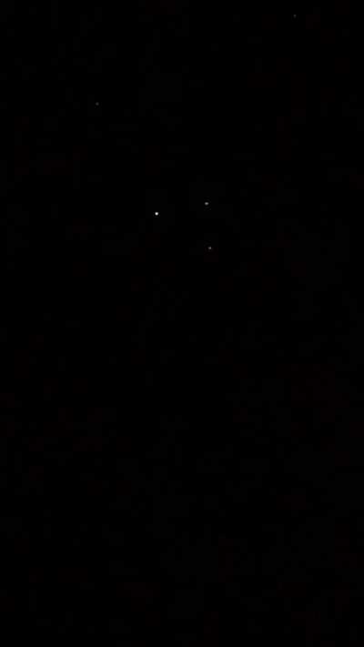 Sighting in Queensland, Australia