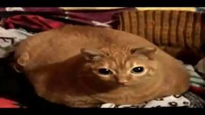 fridya night fucking memes