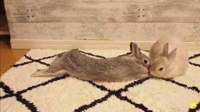 How to surreptitiously stretch within reach of kisses