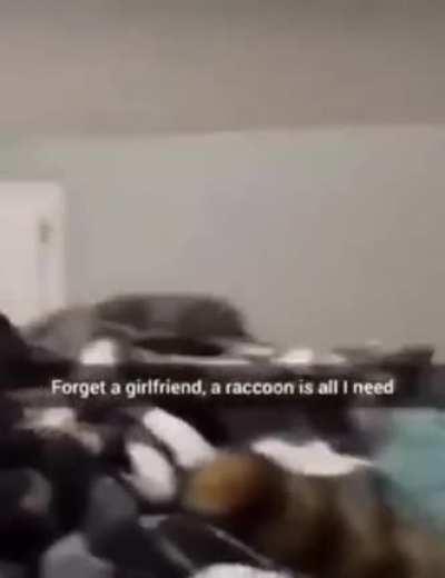 doodoofard - Video #3328