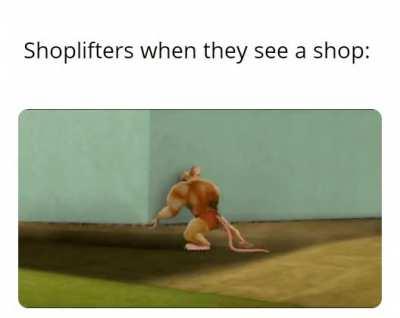 respect for the shoplifters