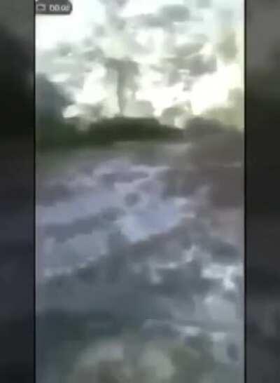 Rodditor antrenat intens pe WAGTHRO cautand un moderator care incepe cu V si se termian cu R