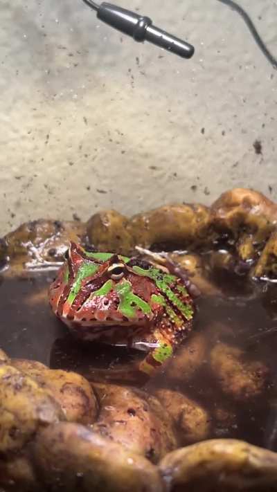 What is my guy doing?????