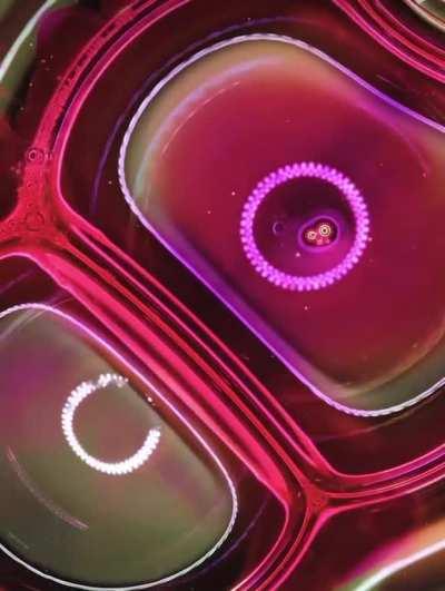 Bubbles mixed with photons on a microscopic slide, no CGI