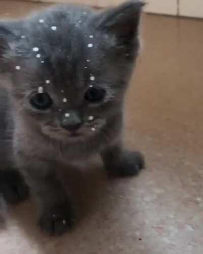 This Is One Way To Drink Milk