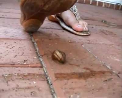 Jess Crushing Snails