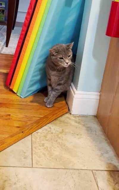 This is Mo’s House