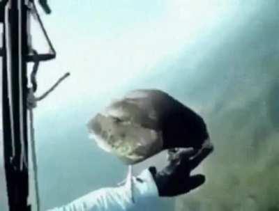 Bloodhound and Arthur new drop emote