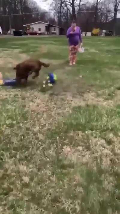 Thanks for the highlight there