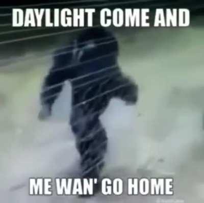 What Connor does on a daily basis