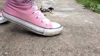 DC💭Anna brutal stinky chucks