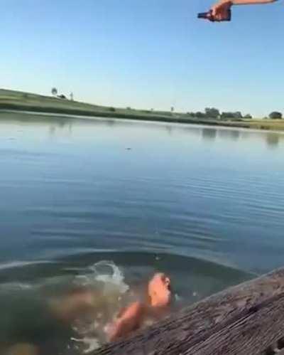 Something fishy here