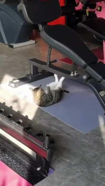 Some motivation for those who skip abs