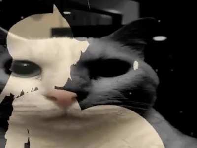 Xxbsjfbvnapprbfbvdple