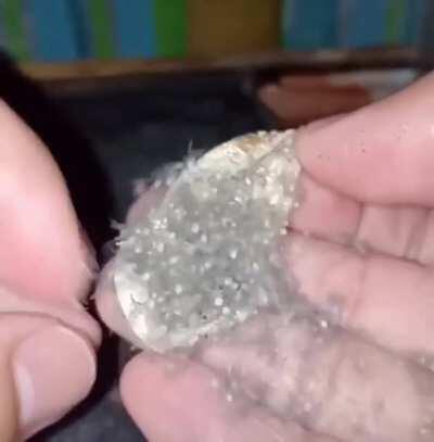 This makes my skin crawl