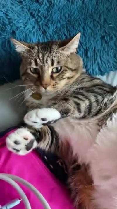 He just wouldn’t stop