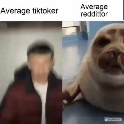 It's the wholesome seal, tik tok bad! Upvote!