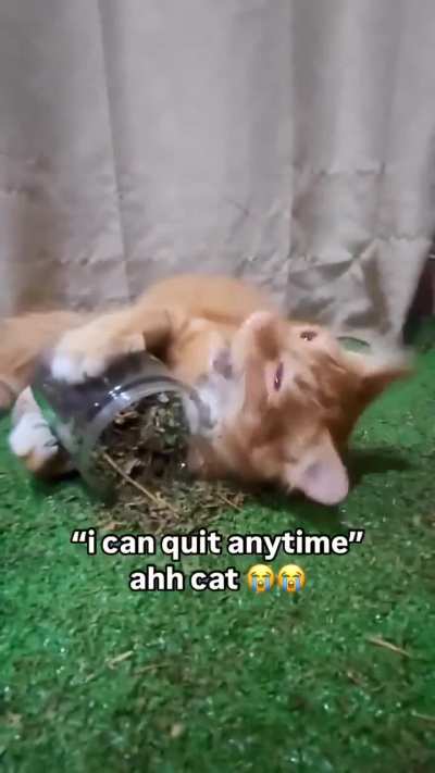 His ass WILL be forced into rehab