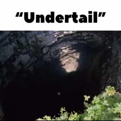 U N D E R T A I L (NOT MINE!)