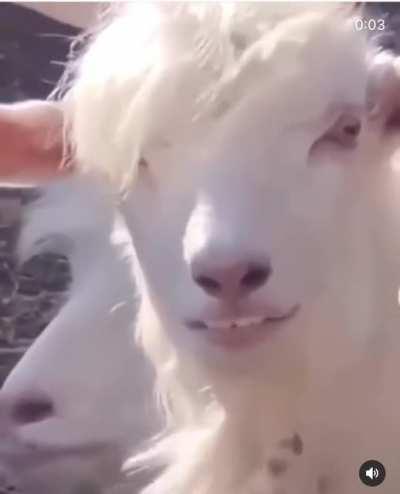 And someone is trying to become a new coin