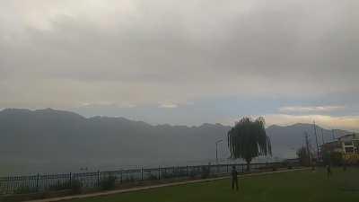 Cricket on the banks of a Dal Lake