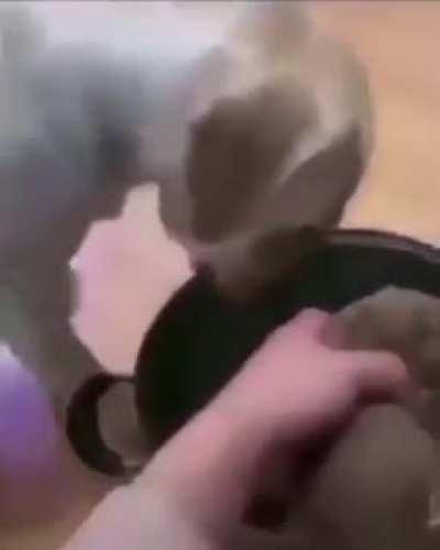 Besto momentos del animu