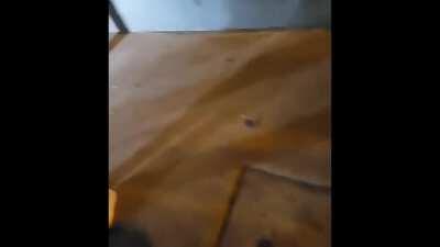 Camaro leaves 2 dead high speed crash texas