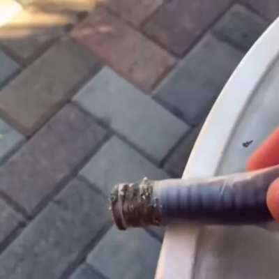 dude just looks so high at the end...