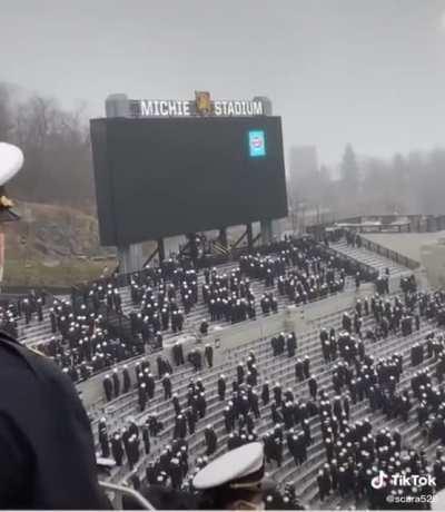 The ultimate screensaver. | This was made by @Scara529, I’m just the crossposter