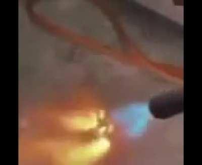 lured into a false sense of security