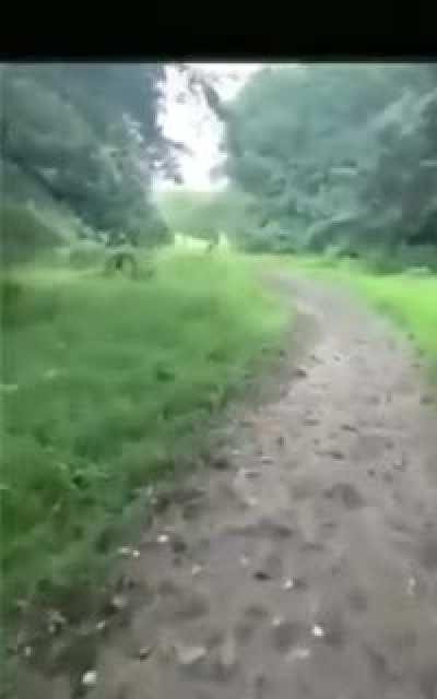 Furei o pneu do meu carro mumu me ajuda